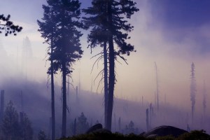 Τα καμένα απομεινάρια ενός σπιτιού μετά από πυρκαγιά