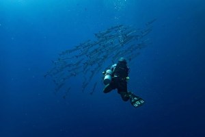 Ένας δύτης κολυμπά σε καταγάλανα νερά